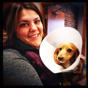 Woman holding a dog wearing a cone