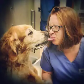 Dog kissing a veterinarian