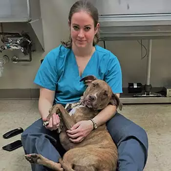 Dog laying in the veterinarian's lap