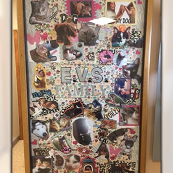 Door with pictures all over it