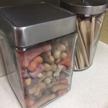 Containers of dog treats