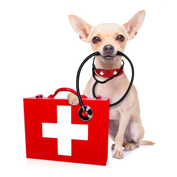 signs of a pet emergency joliet il