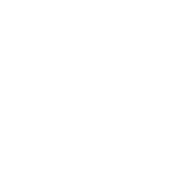 Paw Print Icon