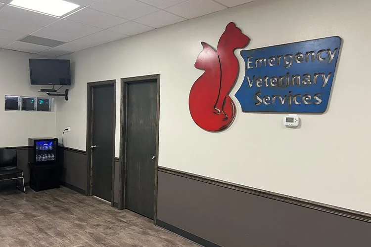 facility-tour-11