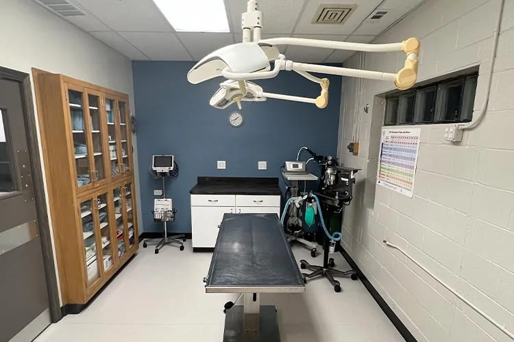 emergency animal hospital exam room at EVS Lisle